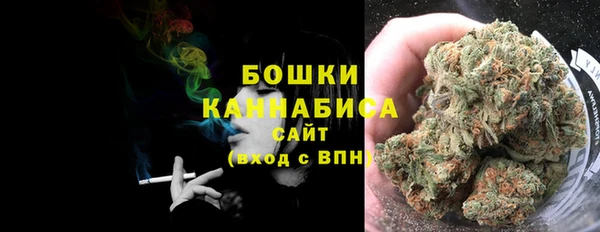 PSILOCYBIN Абаза
