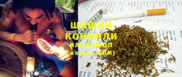 PSILOCYBIN Абаза