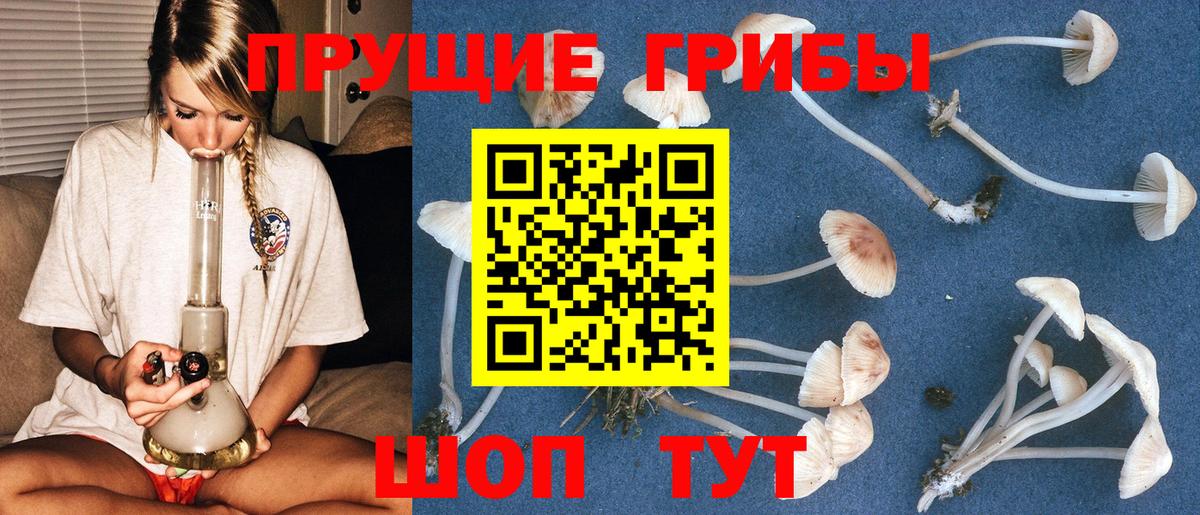 Галлюциногенные грибы Magic Shrooms  Вход с VPN  Псилоцибиновые грибы ЛСД  Братск 