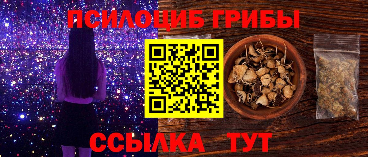 Галлюциногенные грибы GOLDEN TEACHER Братск